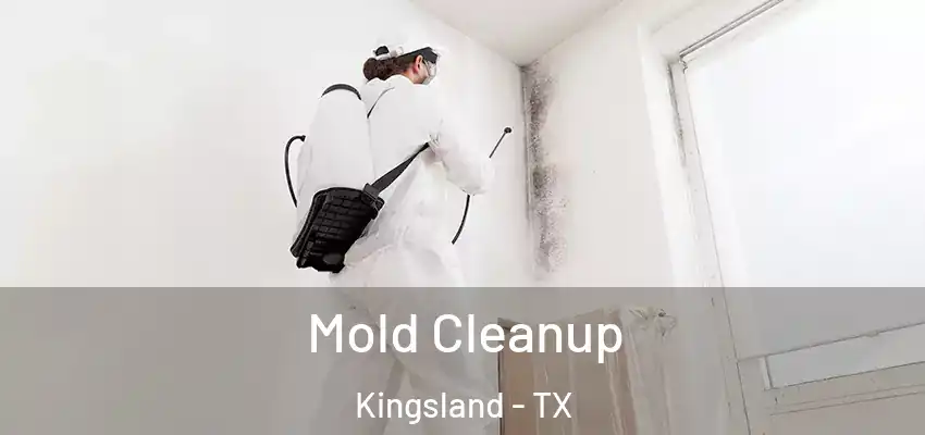  Mold Cleanup Kingsland - TX