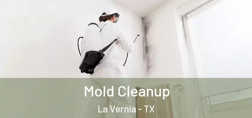  Mold Cleanup La Vernia - TX
