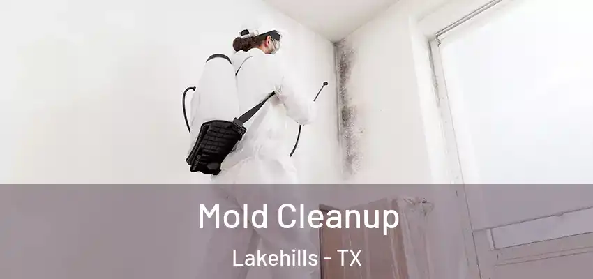  Mold Cleanup Lakehills - TX