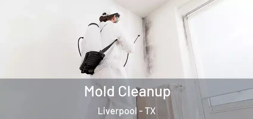  Mold Cleanup Liverpool - TX