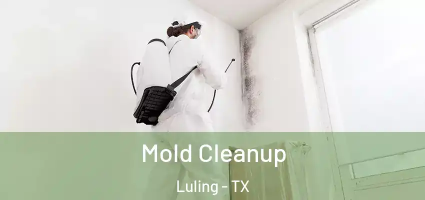  Mold Cleanup Luling - TX