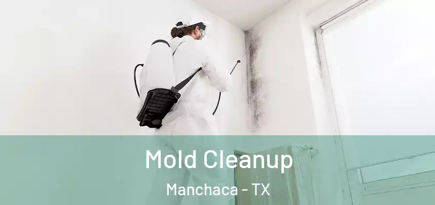  Mold Cleanup Manchaca - TX