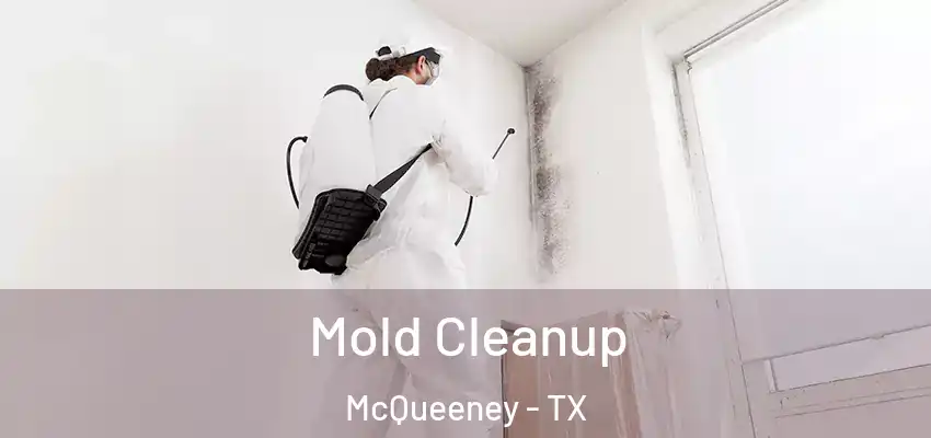  Mold Cleanup McQueeney - TX