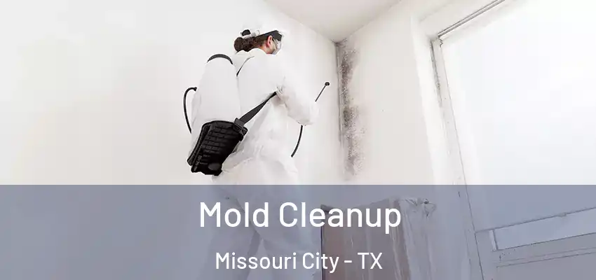  Mold Cleanup Missouri City - TX