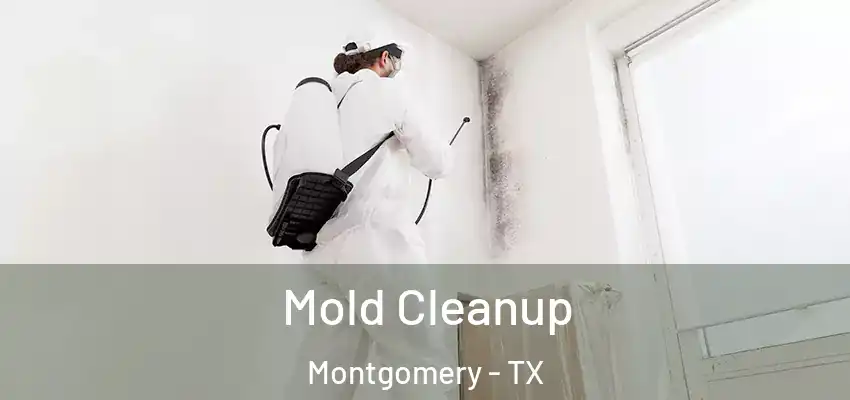  Mold Cleanup Montgomery - TX