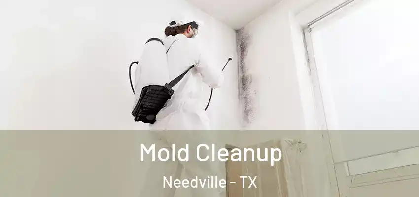  Mold Cleanup Needville - TX