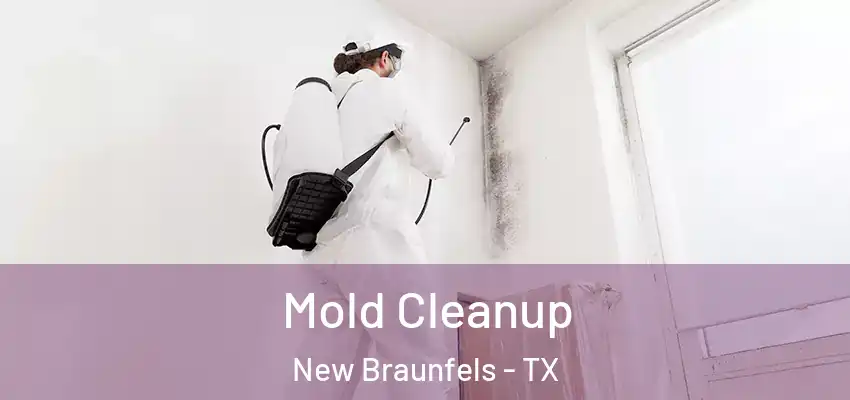  Mold Cleanup New Braunfels - TX
