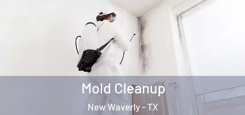  Mold Cleanup New Waverly - TX