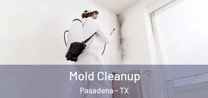 Mold Cleanup Pasadena - TX