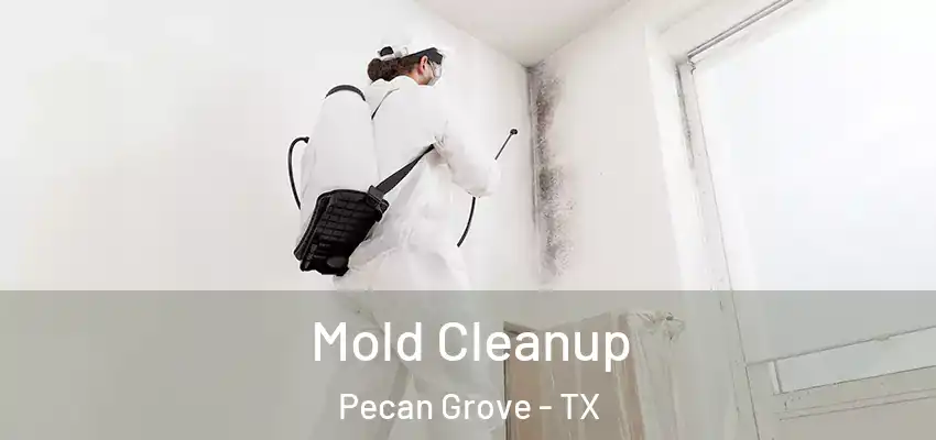  Mold Cleanup Pecan Grove - TX