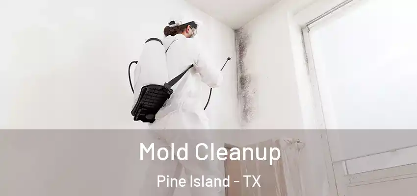  Mold Cleanup Pine Island - TX