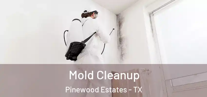  Mold Cleanup Pinewood Estates - TX