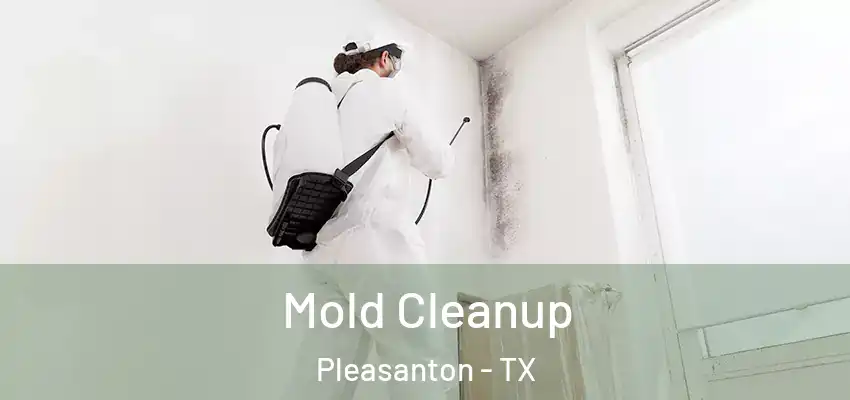  Mold Cleanup Pleasanton - TX