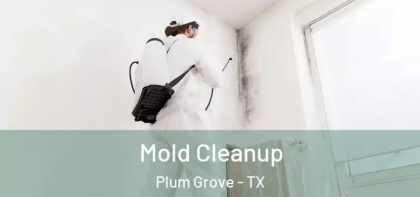  Mold Cleanup Plum Grove - TX