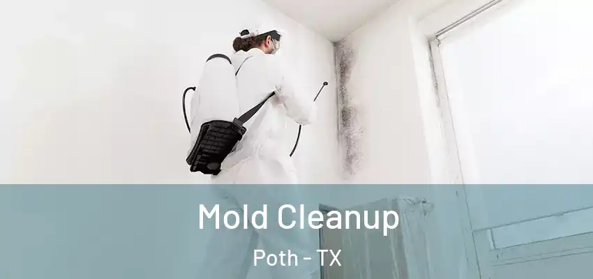  Mold Cleanup Poth - TX