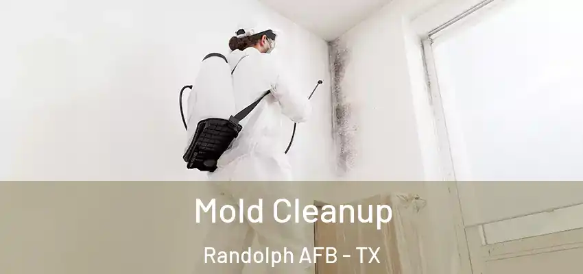  Mold Cleanup Randolph AFB - TX