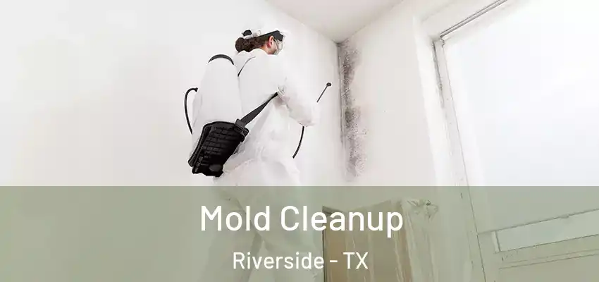  Mold Cleanup Riverside - TX