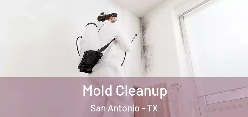  Mold Cleanup San Antonio - TX