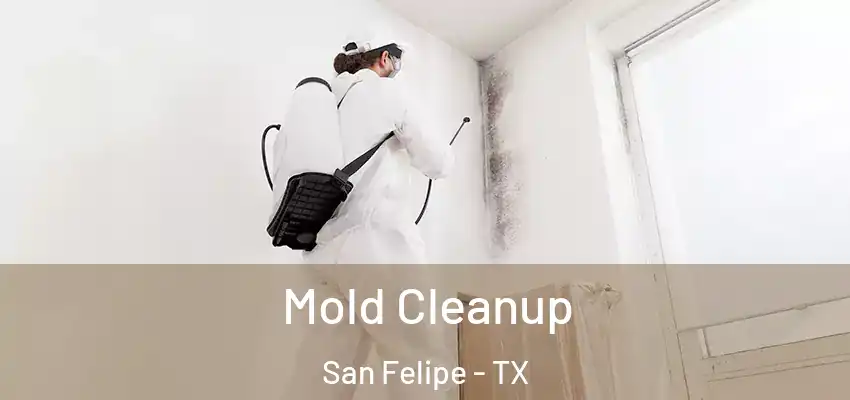 Mold Cleanup San Felipe - TX
