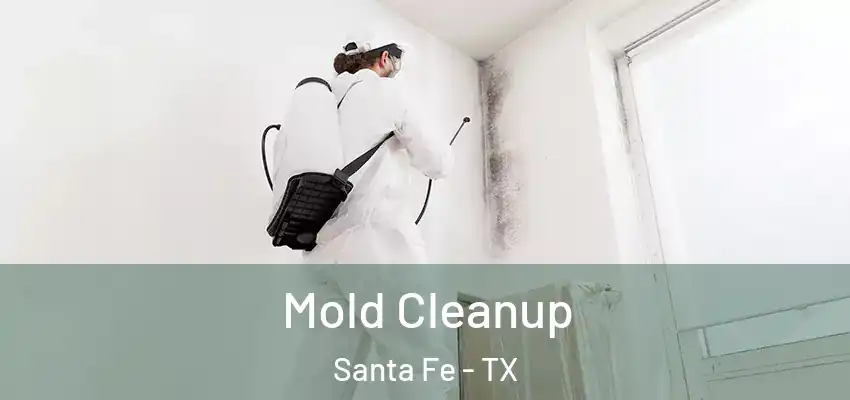  Mold Cleanup Santa Fe - TX