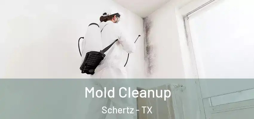  Mold Cleanup Schertz - TX