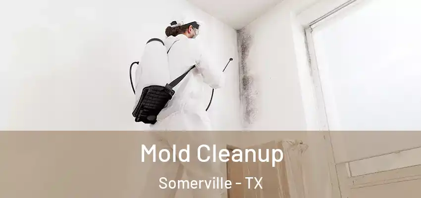  Mold Cleanup Somerville - TX