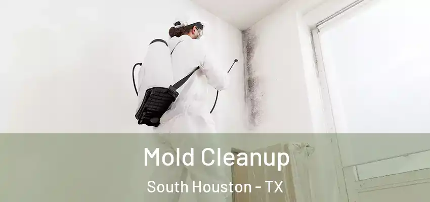  Mold Cleanup South Houston - TX