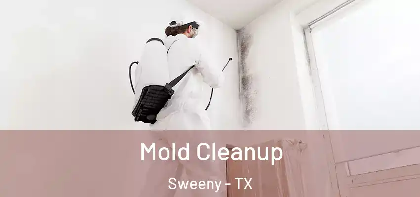  Mold Cleanup Sweeny - TX