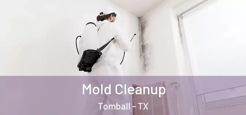  Mold Cleanup Tomball - TX