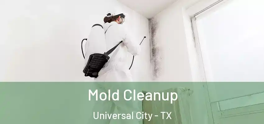  Mold Cleanup Universal City - TX