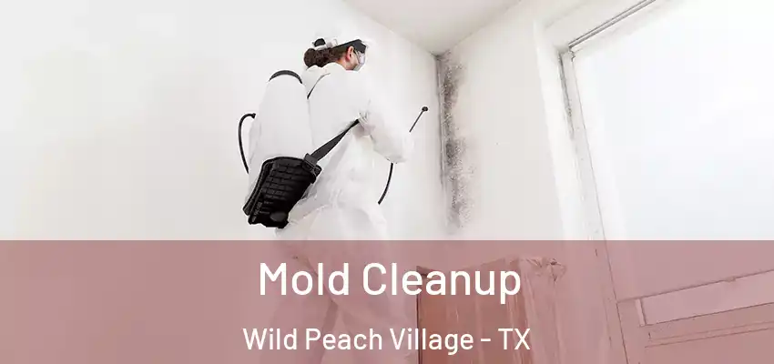  Mold Cleanup Wild Peach Village - TX