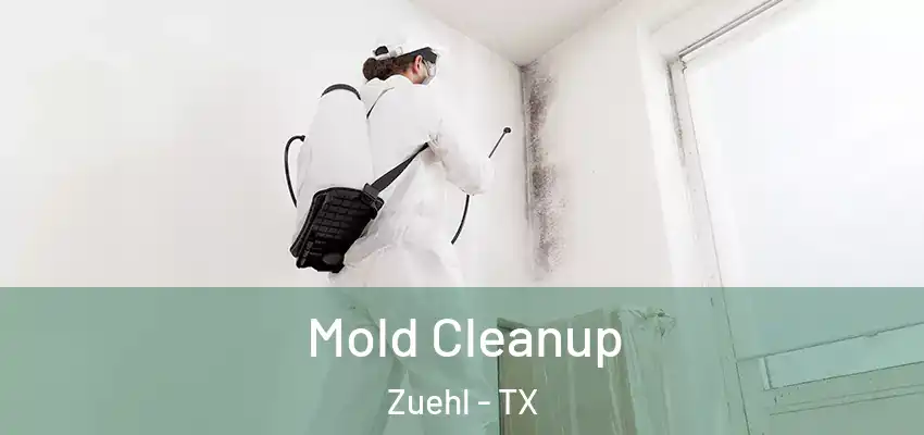  Mold Cleanup Zuehl - TX