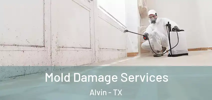  Mold Damage Services Alvin - TX