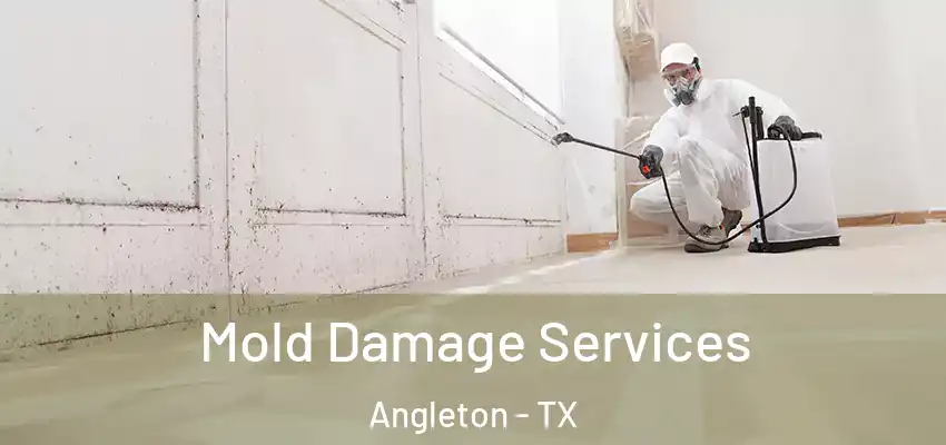  Mold Damage Services Angleton - TX