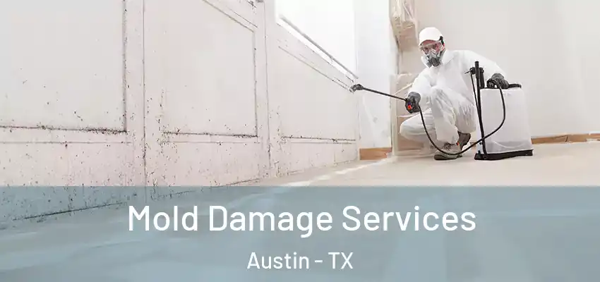  Mold Damage Services Austin - TX