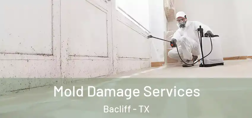  Mold Damage Services Bacliff - TX
