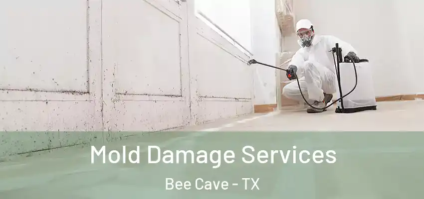  Mold Damage Services Bee Cave - TX