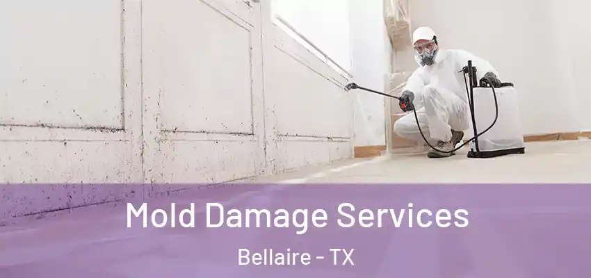  Mold Damage Services Bellaire - TX