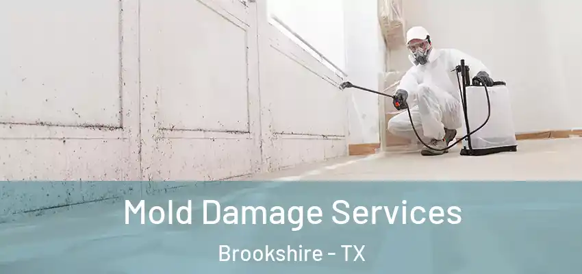  Mold Damage Services Brookshire - TX