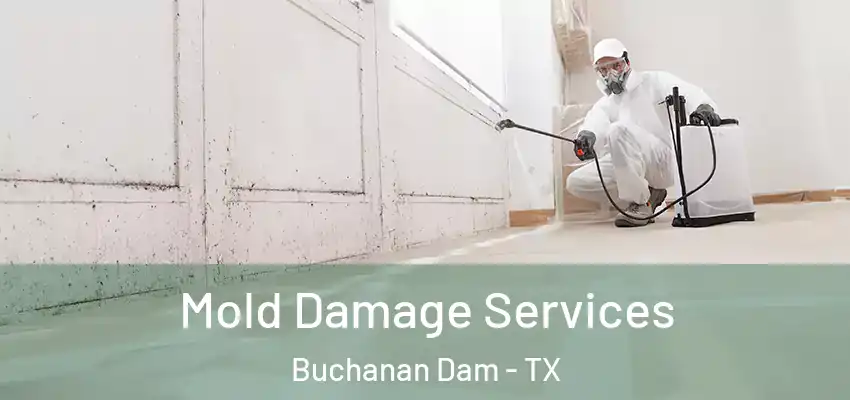  Mold Damage Services Buchanan Dam - TX