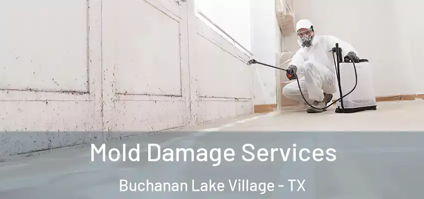  Mold Damage Services Buchanan Lake Village - TX