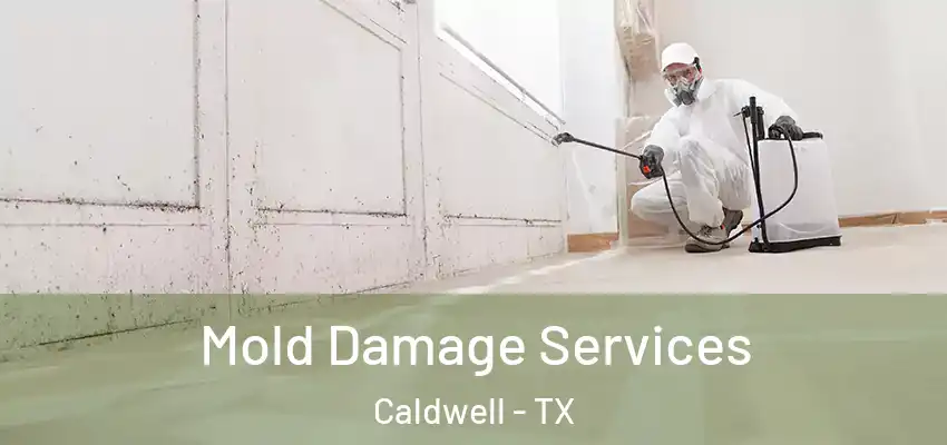  Mold Damage Services Caldwell - TX