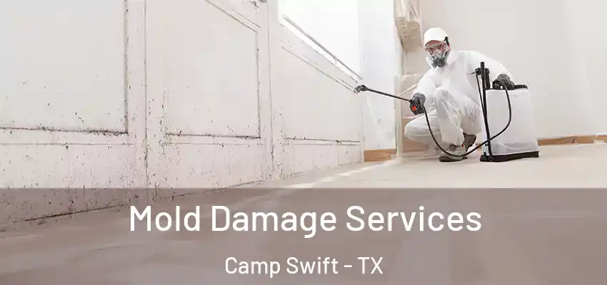 Mold Damage Services Camp Swift - TX