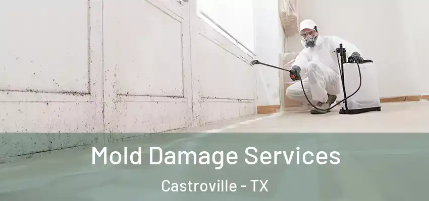  Mold Damage Services Castroville - TX