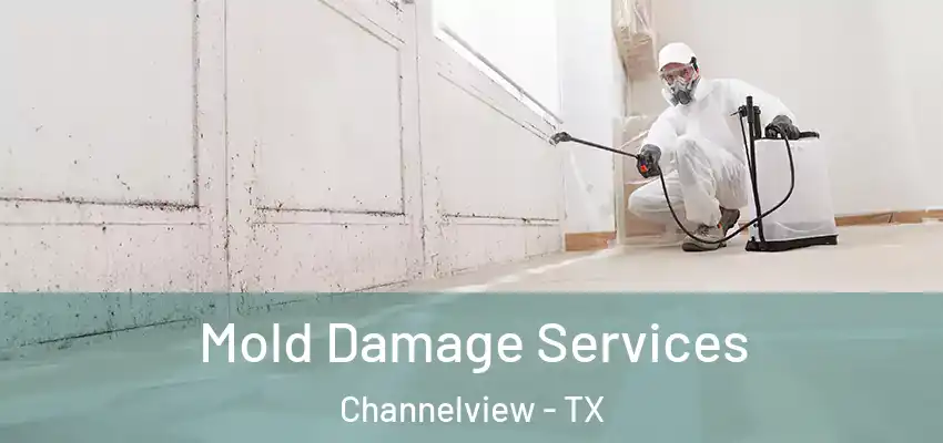  Mold Damage Services Channelview - TX