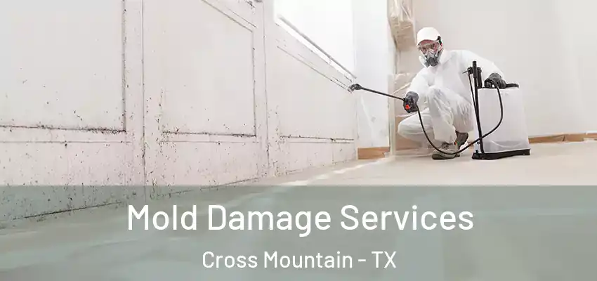  Mold Damage Services Cross Mountain - TX