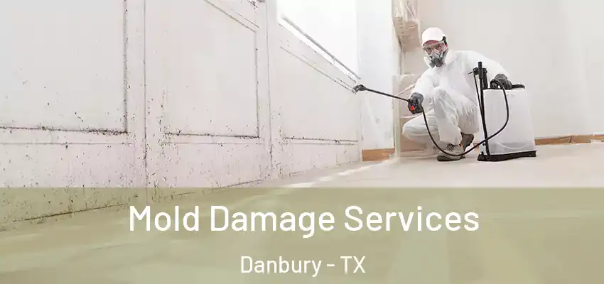  Mold Damage Services Danbury - TX