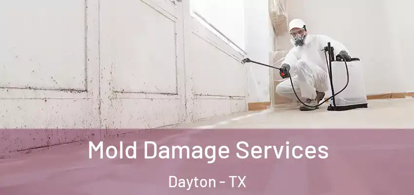  Mold Damage Services Dayton - TX