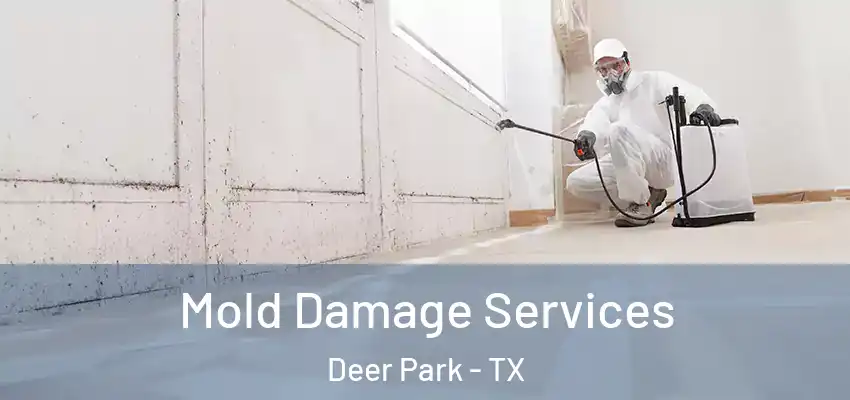  Mold Damage Services Deer Park - TX