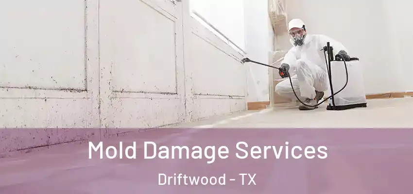 Mold Damage Services Driftwood - TX